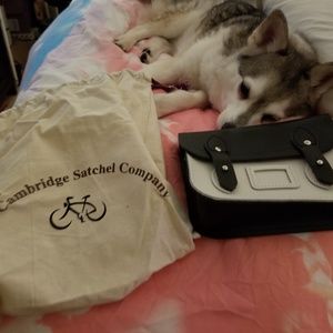 Cambridge satchel co crossbody- Rachel Zoe Box of